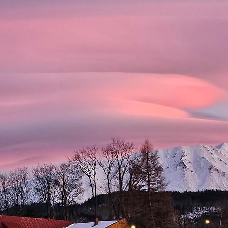 Vila Heidi Zakopane Exteriér fotografie