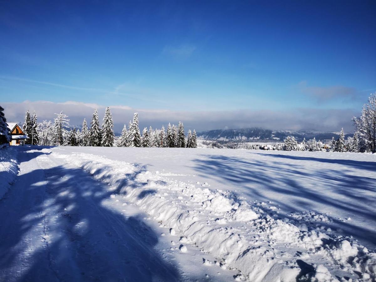 Vila Heidi Zakopane Exteriér fotografie