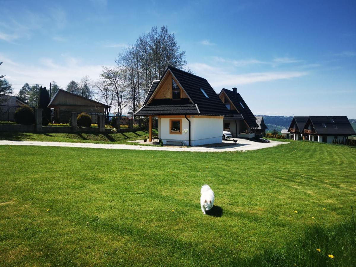 Vila Heidi Zakopane Exteriér fotografie